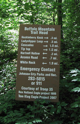 Buffalo Mountain Trail System: East Tennessee’s Rugged Ride Through Appalachian Backcountry