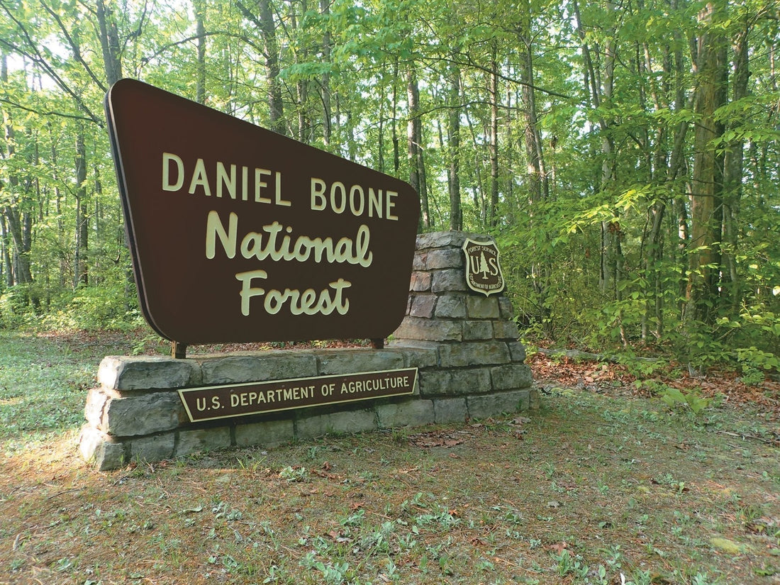 Daniel Boone National Forest OHV Areas: Kentucky’s Deep‑Woods Riding Across 700,000 Acres of Wilderness