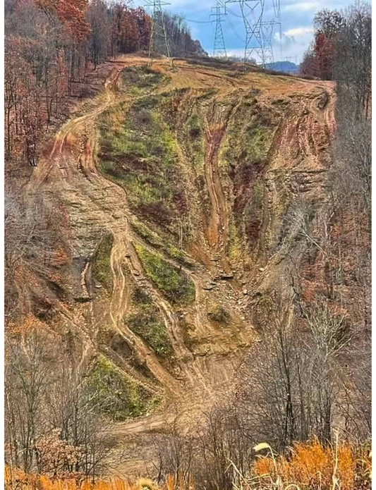 Steep eroded hill with deep ruts and exposed soil beneath powerline towers, surrounded by fall trees.